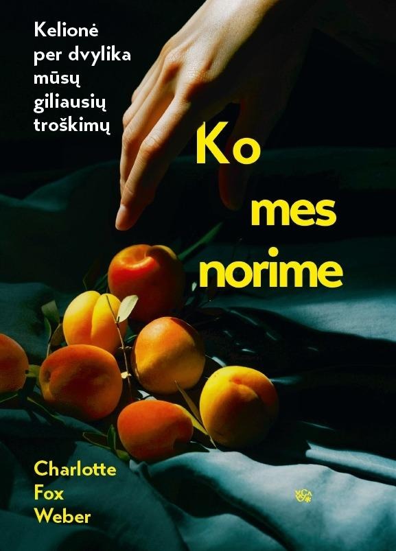 Charlotte Fox Weber „Ko mes norime. Kelionė per dvylika mūsų giliausių troškimų”