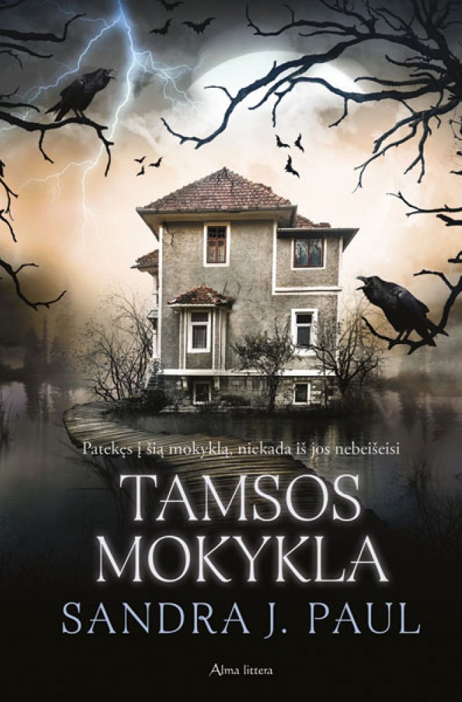 Sandra J. Paul „Tamsos mokykla“