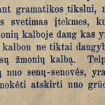 Lietuviškos kalbos gramatika. 1901 m.