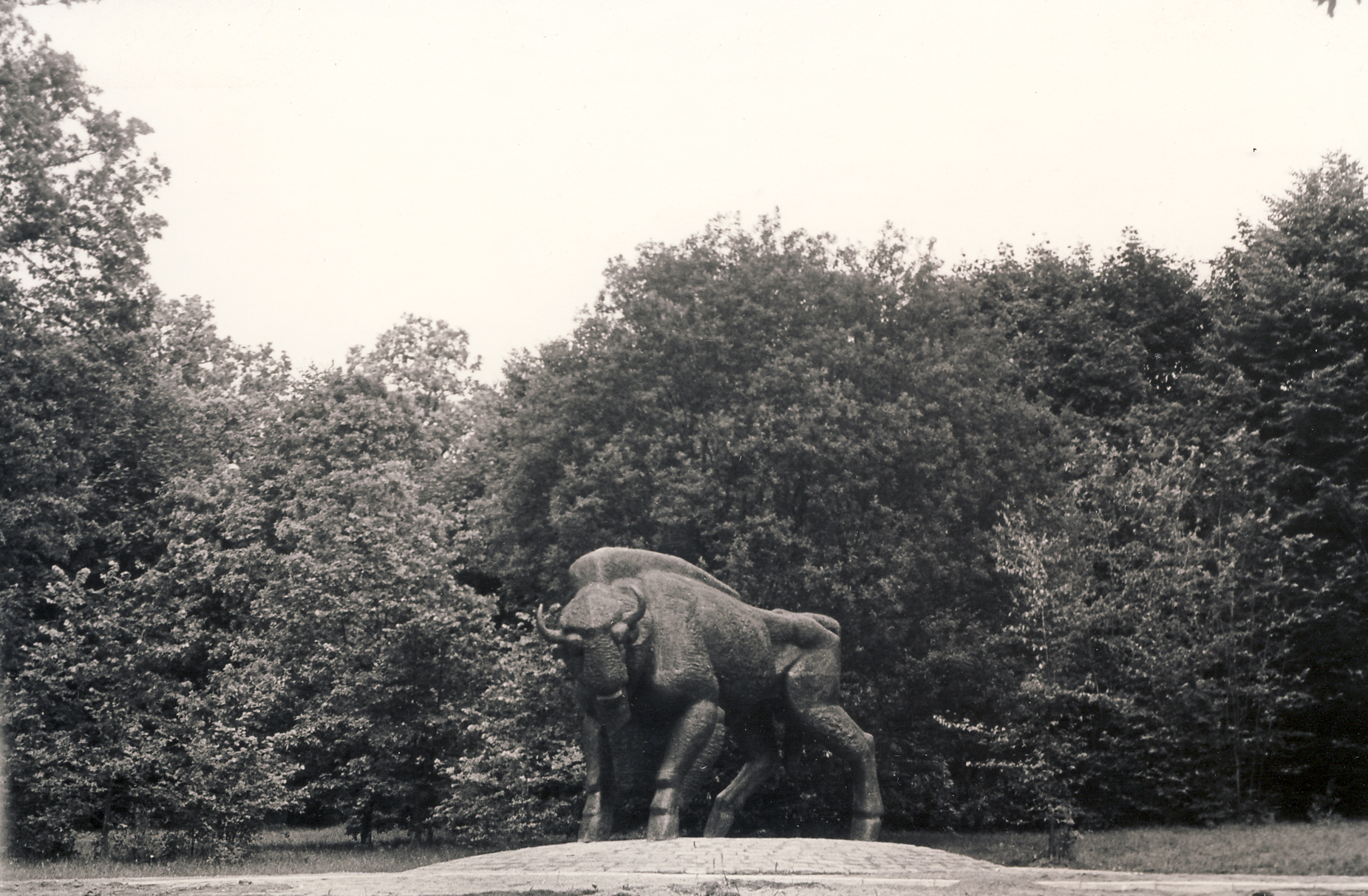 D. Matulaitės skulptūra „Stumbras“ Žaliakalnio ąžuolyne. XX a. 9 deš. Fotogr. A. Pleskačiauskas [Iš KAVB fondų]