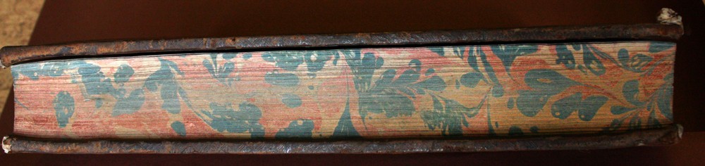 Gėlių ornamentais margintas Justo Lipsijaus knygos „Opera omnia" bloko kraštas.
