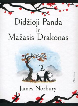 James Norbury „Didžioji Panda ir Mažasis Drakonas“