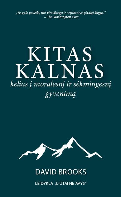 Kitas kalnas
