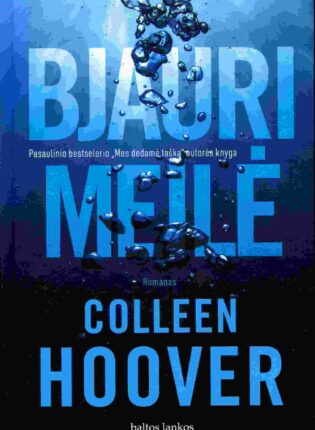 Colleen Hoover „Bjauri meilė“