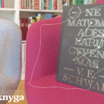 Savaitės knyga V. E. Schwab „Nematomas Adės Laru gyvenimas“