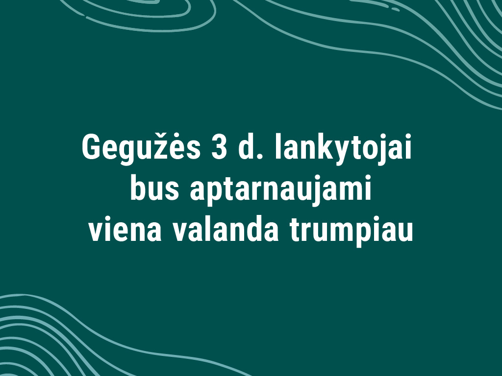 Darbo laikas gegužės 3 dieną