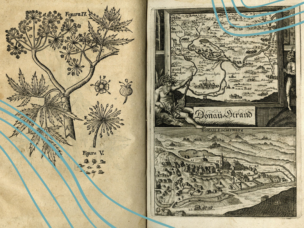 Johanno Jakobo Wepferio veikalas „Historia cicutae aquaticae et noxae“