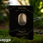 David Lynch „Pagauti didžiąją žuvį“