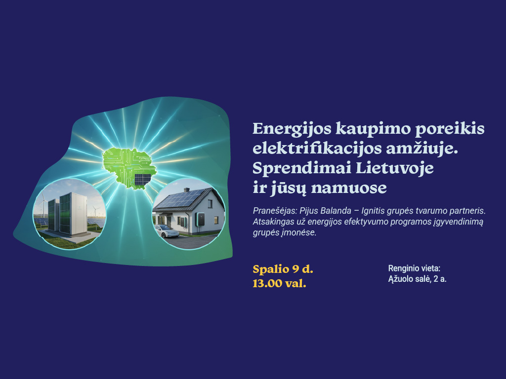 Energijos kaupimo poreikis elektrifikacijos amžiuje. Sprendimai Lietuvoje ir jūsų namuose.