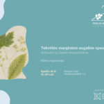 Kūrybinės tekstilės marginimo augaline spauda dirbtuvės su tekstilininke Giedre Antanavičiene