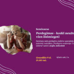 Paskaita apie perdegimą