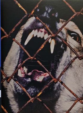 BA „Turtas“ (LP)