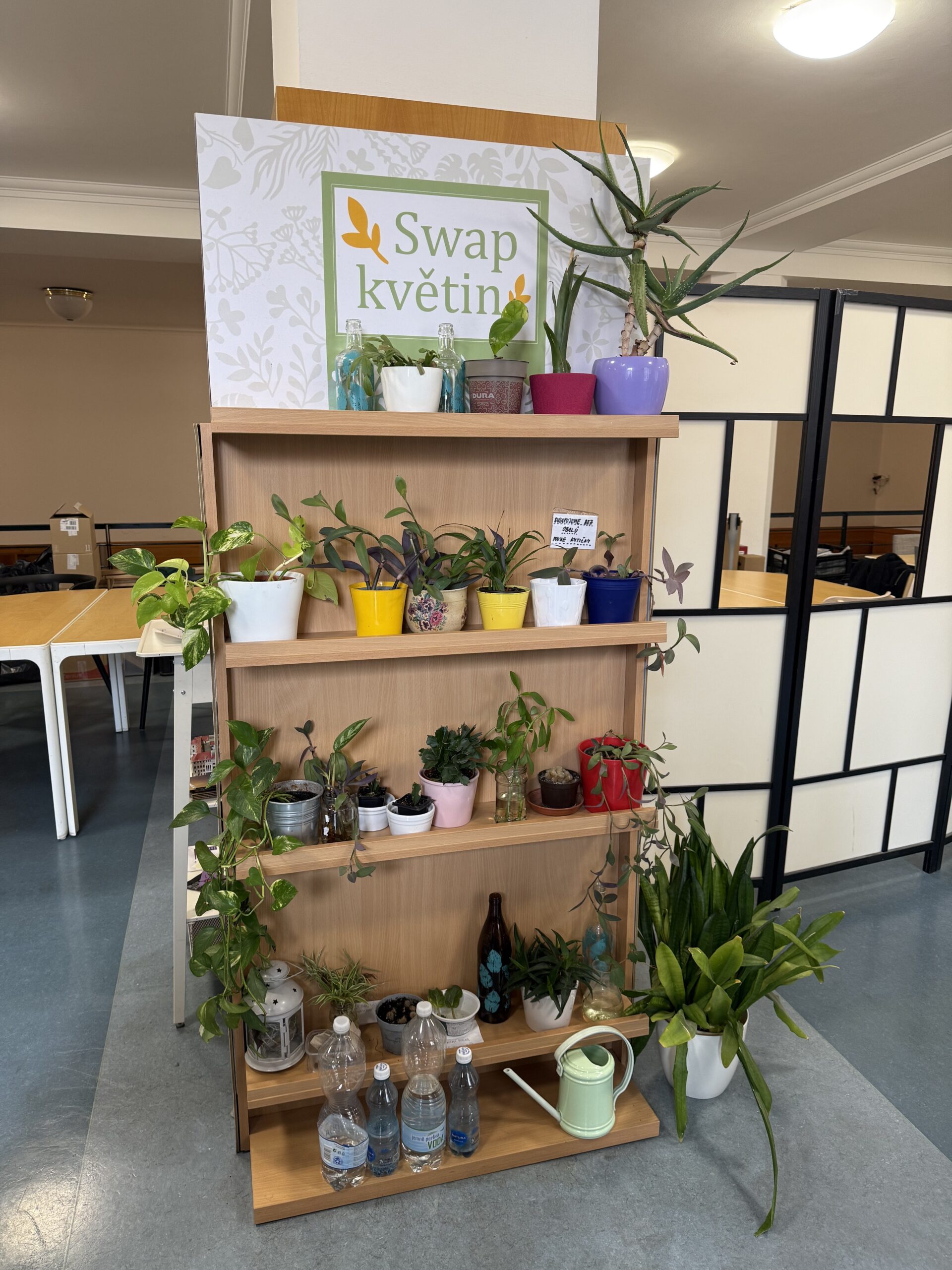 Ąžuolyno bibliotekos specialistų Erasmus+ stažuotė Čekijoje