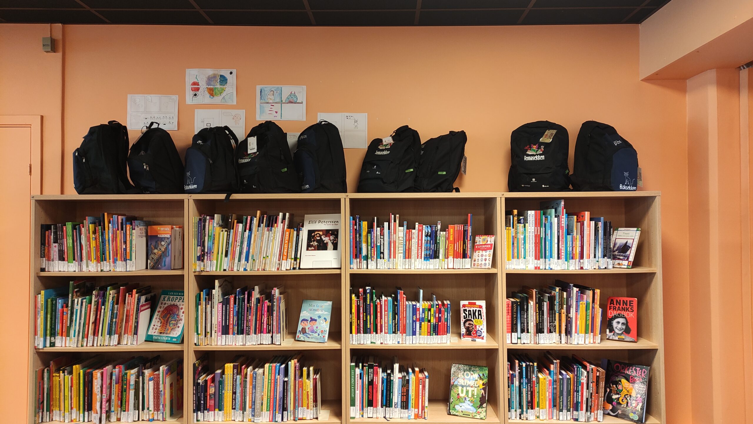 Kuprinės pagal temas