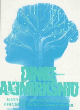 Jo Callaghan „Dingę akimirksniu“