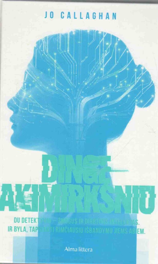Jo Callaghan „Dingę akimirksniu“