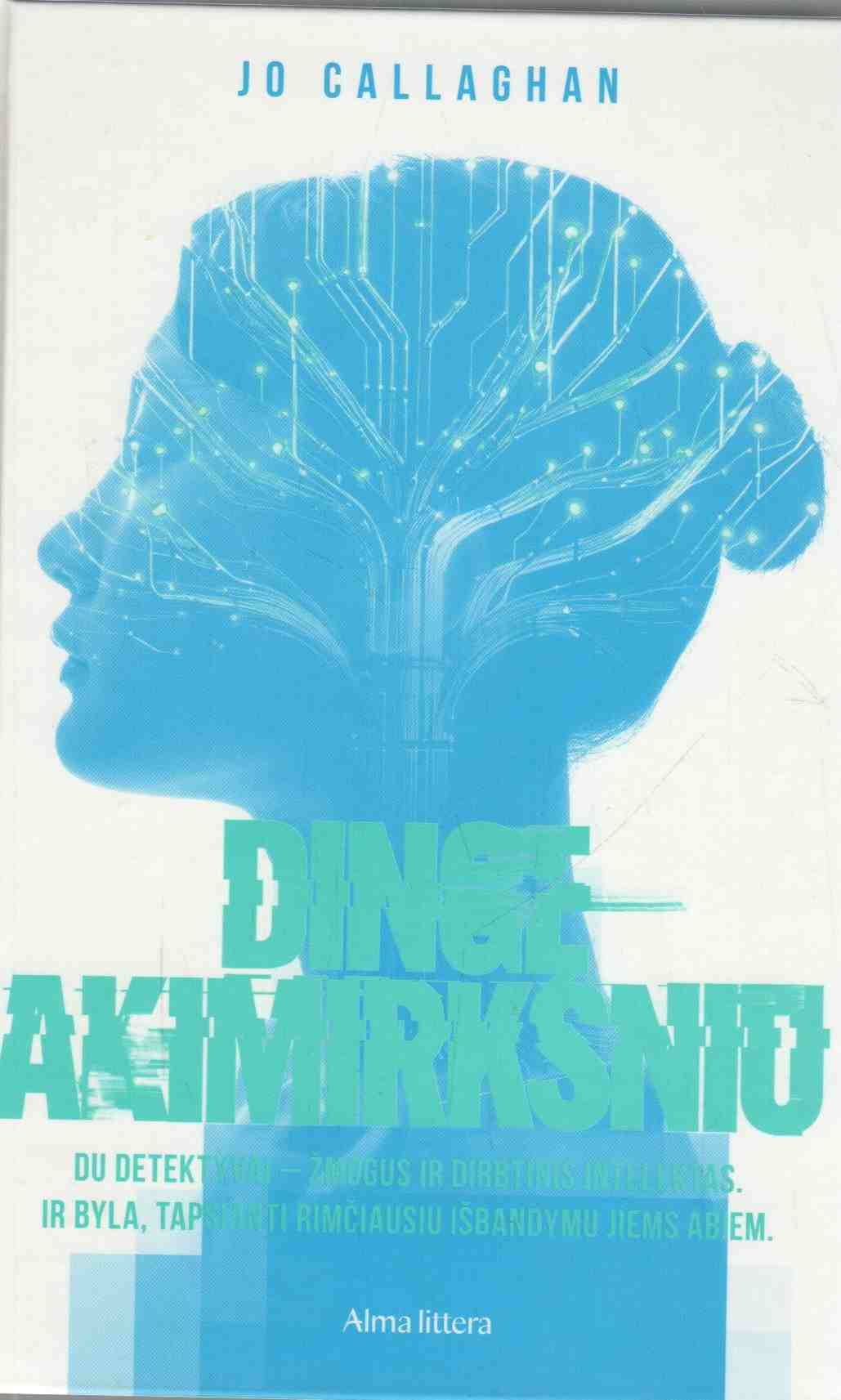 Jo Callaghan „Dingę akimirksniu“