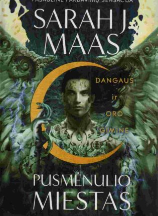 Sarah J. Maas „Dangaus ir oro giminė“. Ciklo „Pusmėnulio miestas“ antra knyga