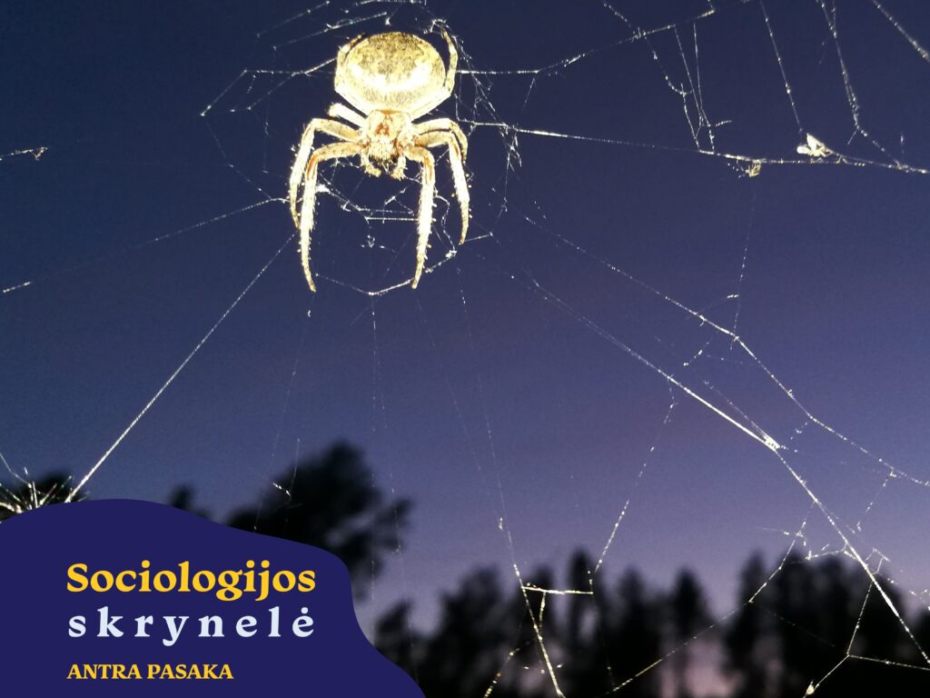 Sociologijos skrynelė