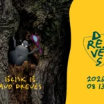 Miesto gamtos ir bendruomenės festivalis „Drevės“