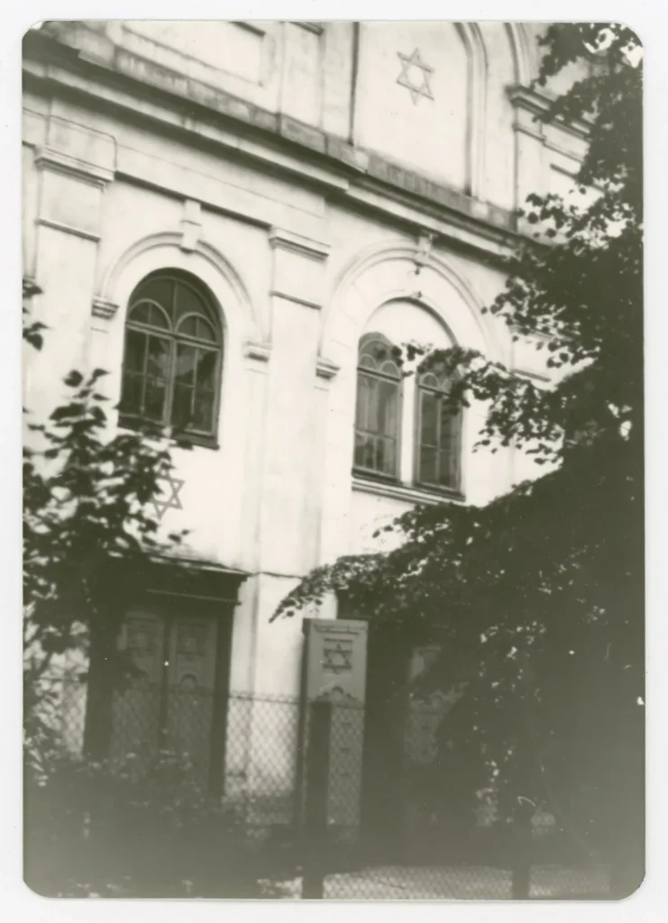 Kauno choralinė žydų sinagoga, Vytauto Didžiojo universitetas